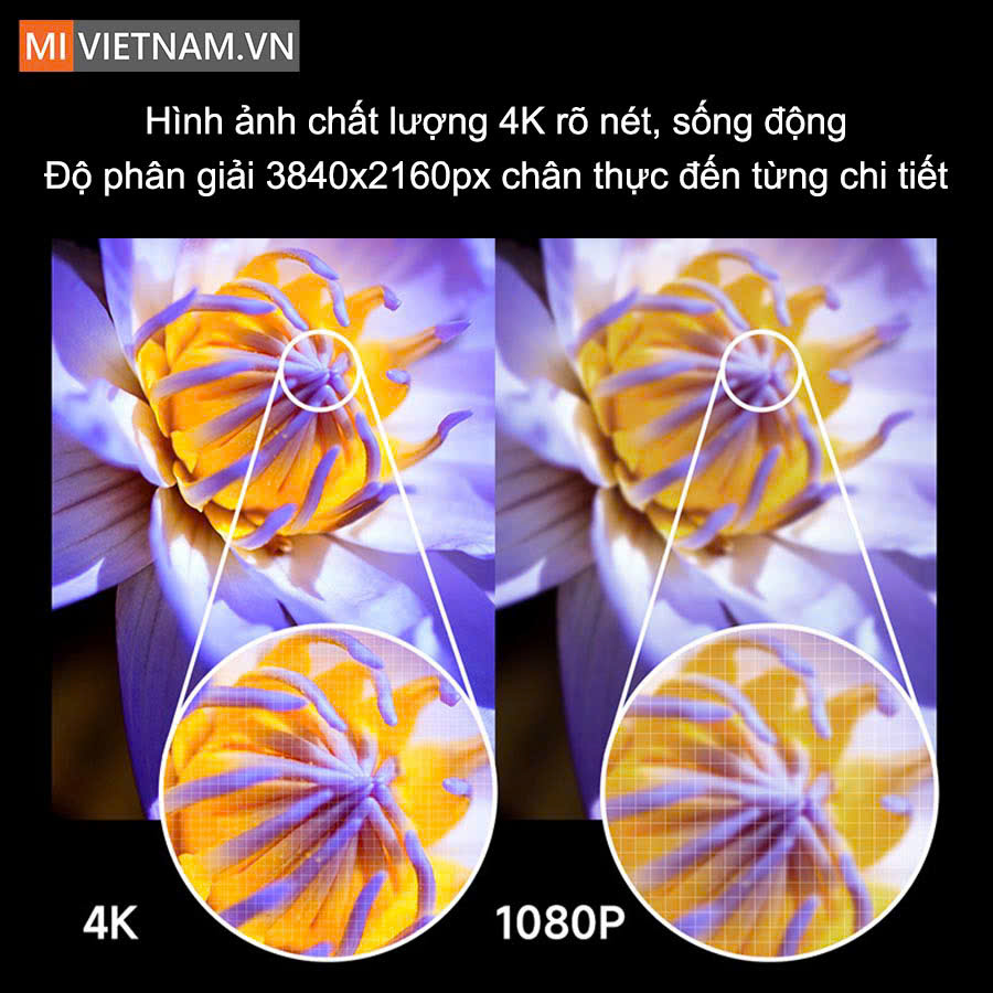 z5782125628636_a2d3d4ebb7a7087d88cc38c77664c883